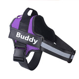 Personalized Dog Harness  Reflective Breathable