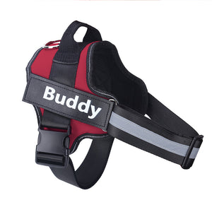 Personalized Dog Harness  Reflective Breathable